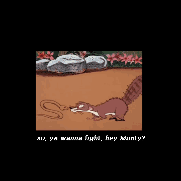 Manny-Mongoose-and-Monty-Python.gif